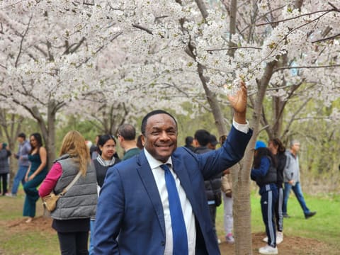 Cherry Blossom Season in Scarborough